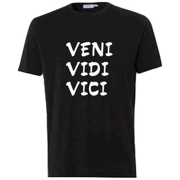 Veni vidi vici